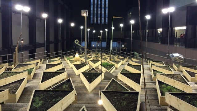 Abraham Cruzvillegas, Empty Lot, 2015