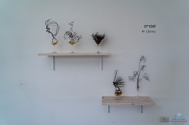 לידה שרת מסד