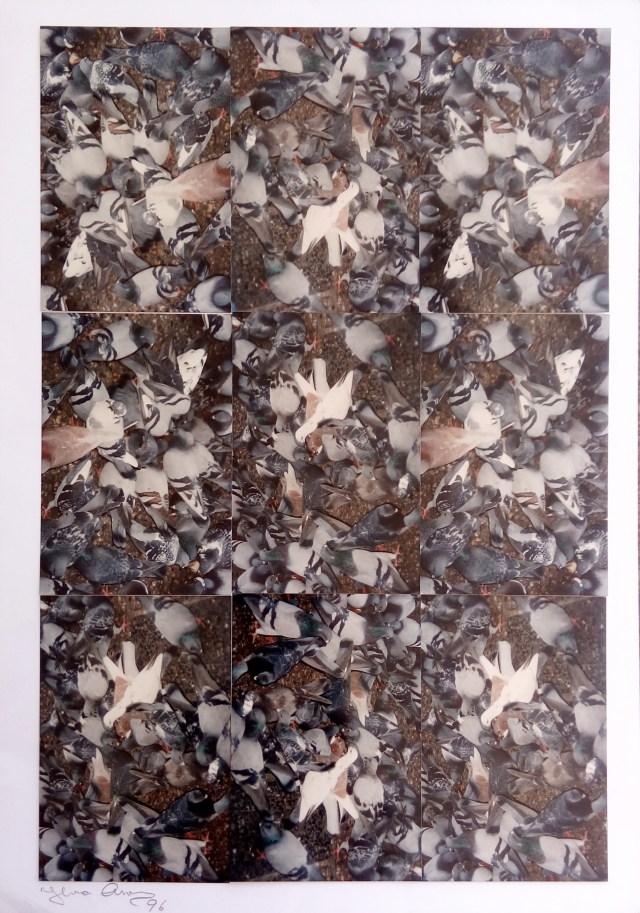 אילונה אהרון