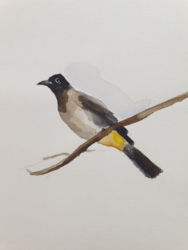 עופרי מרום 2