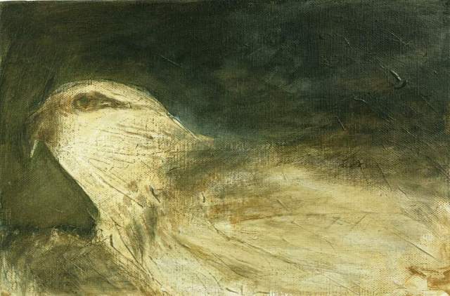 facebook_1597355588486_6699794934211636306