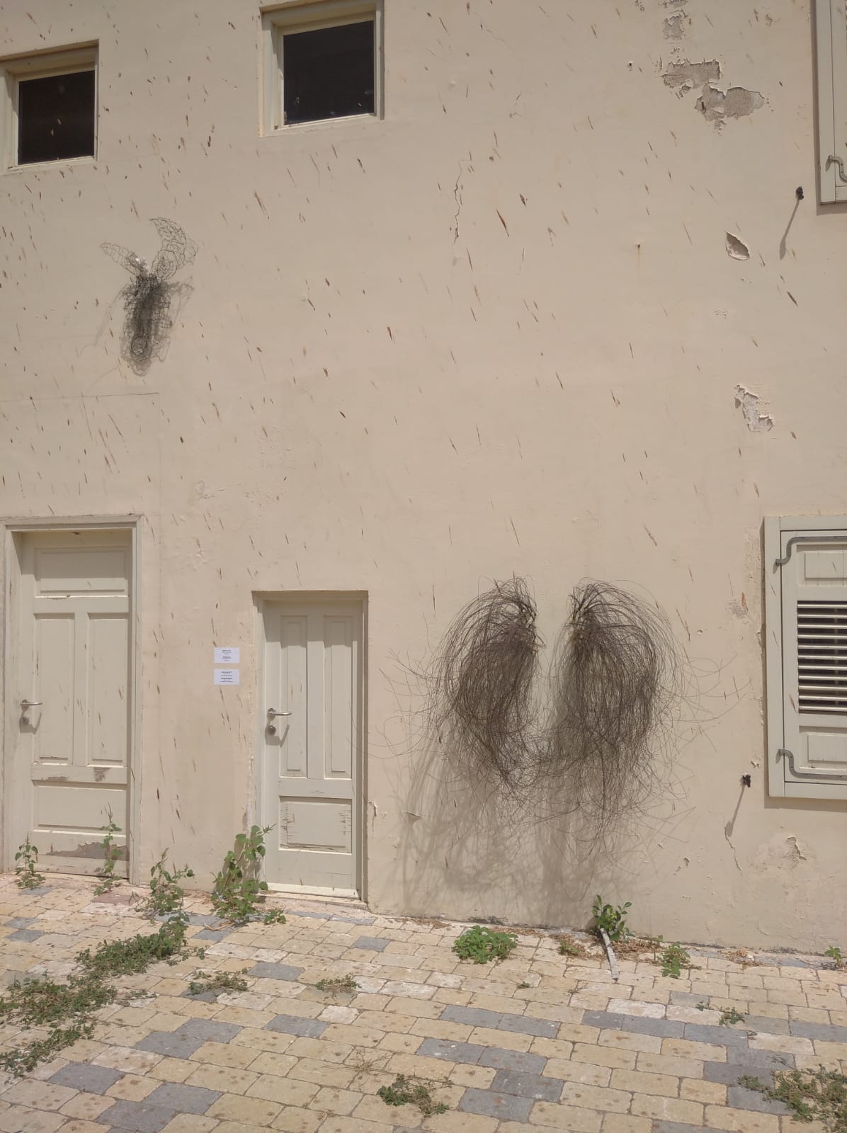 לידה שרת מסד דויד אייזקס1