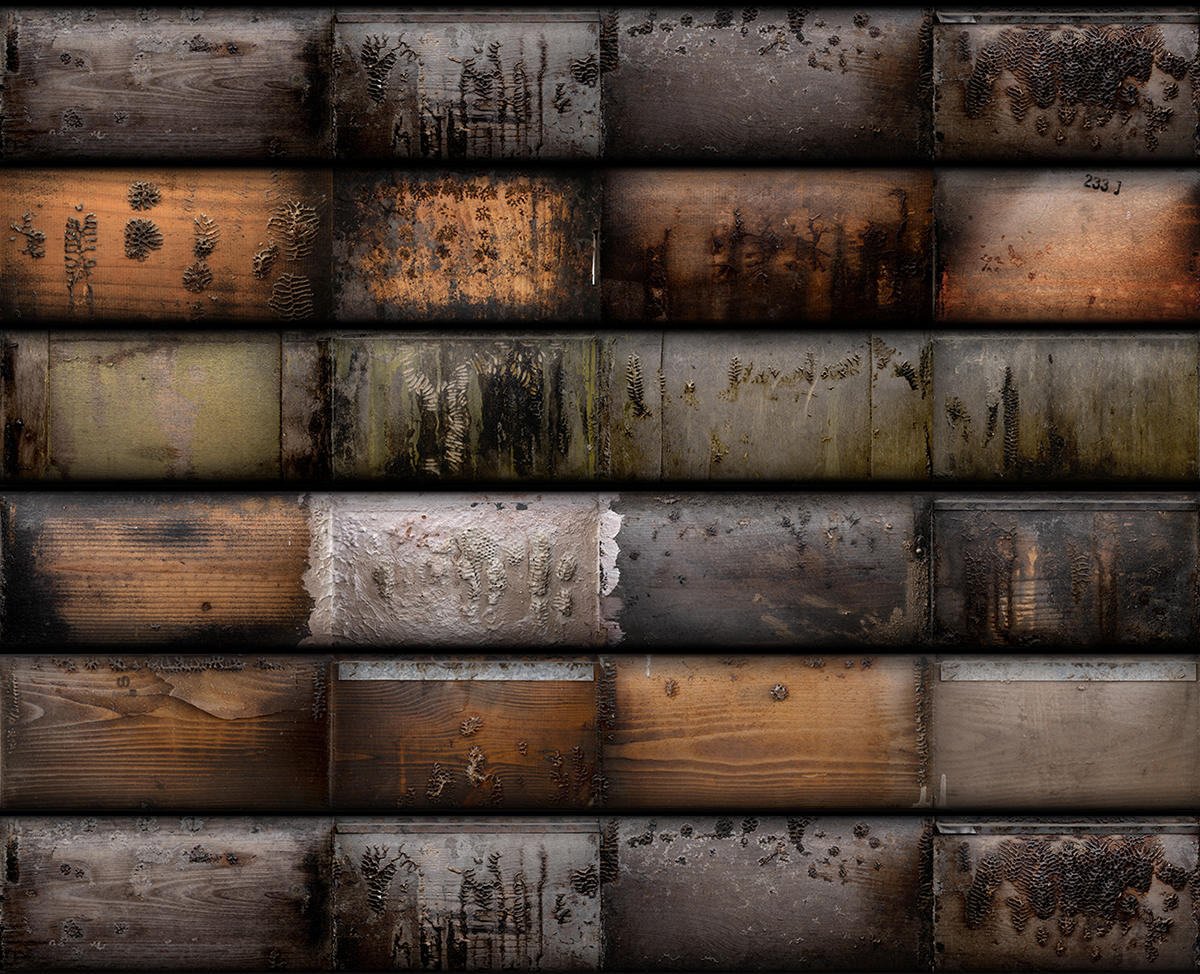 אנה פרומצנקו,החפיר, 2020, הדפסת דיו פיגמנטי