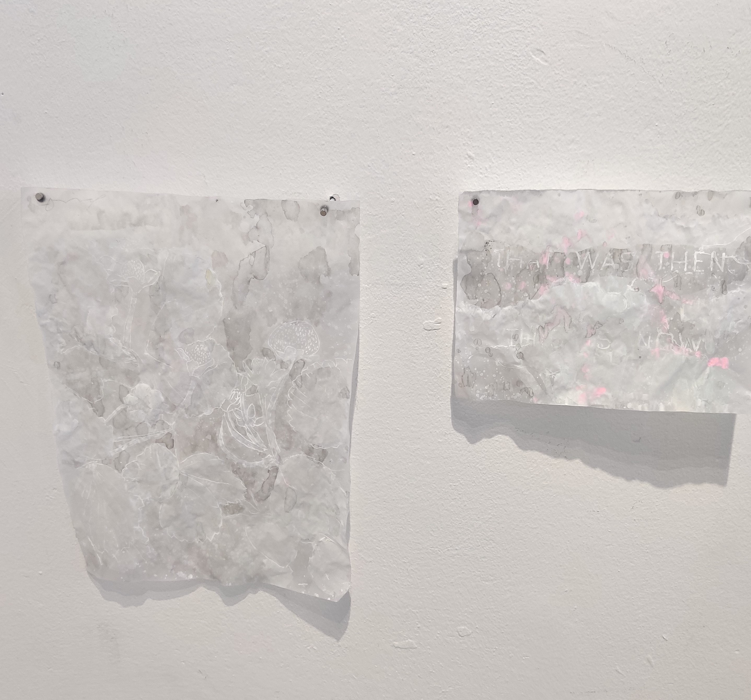 אלחנדרה אוקרט