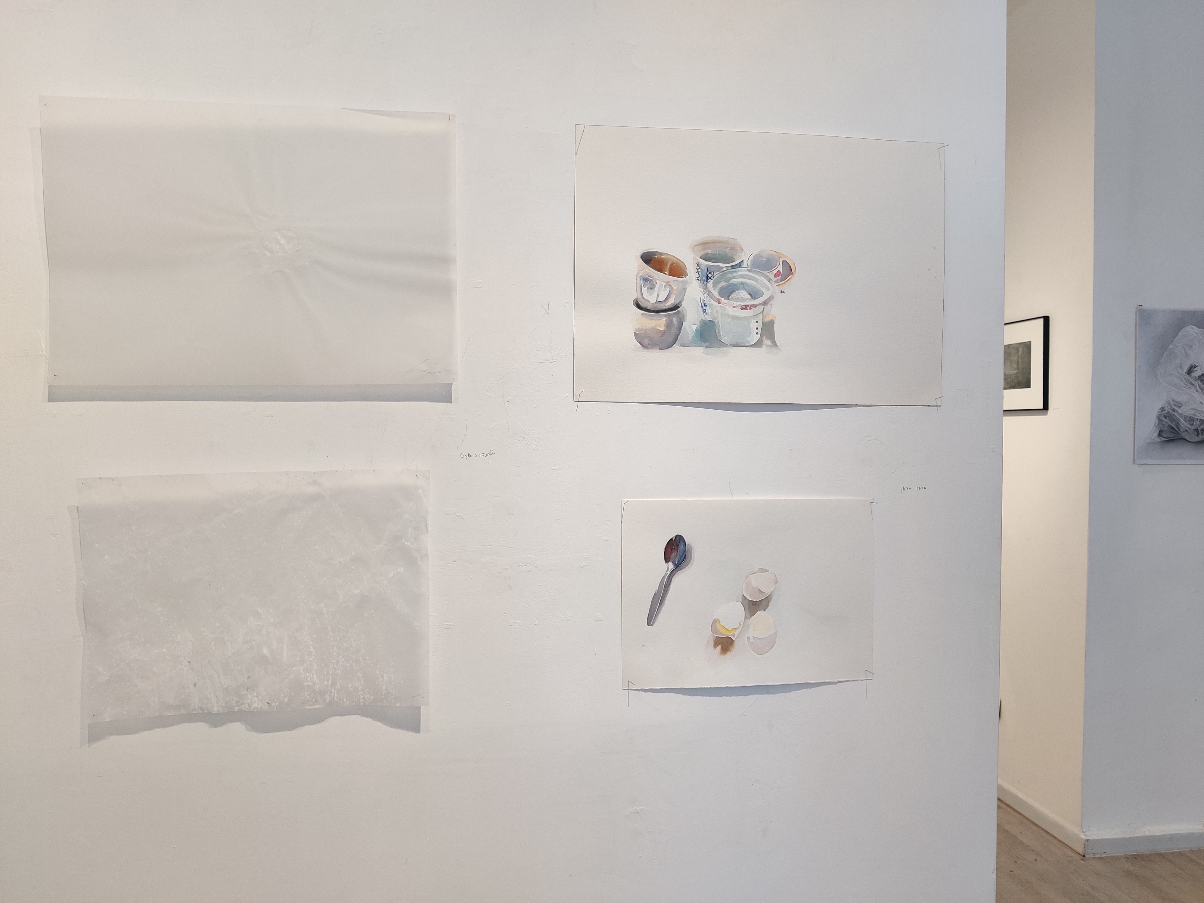 ימין מרגו גראן, שמאל, אלחנדרה אוקרט