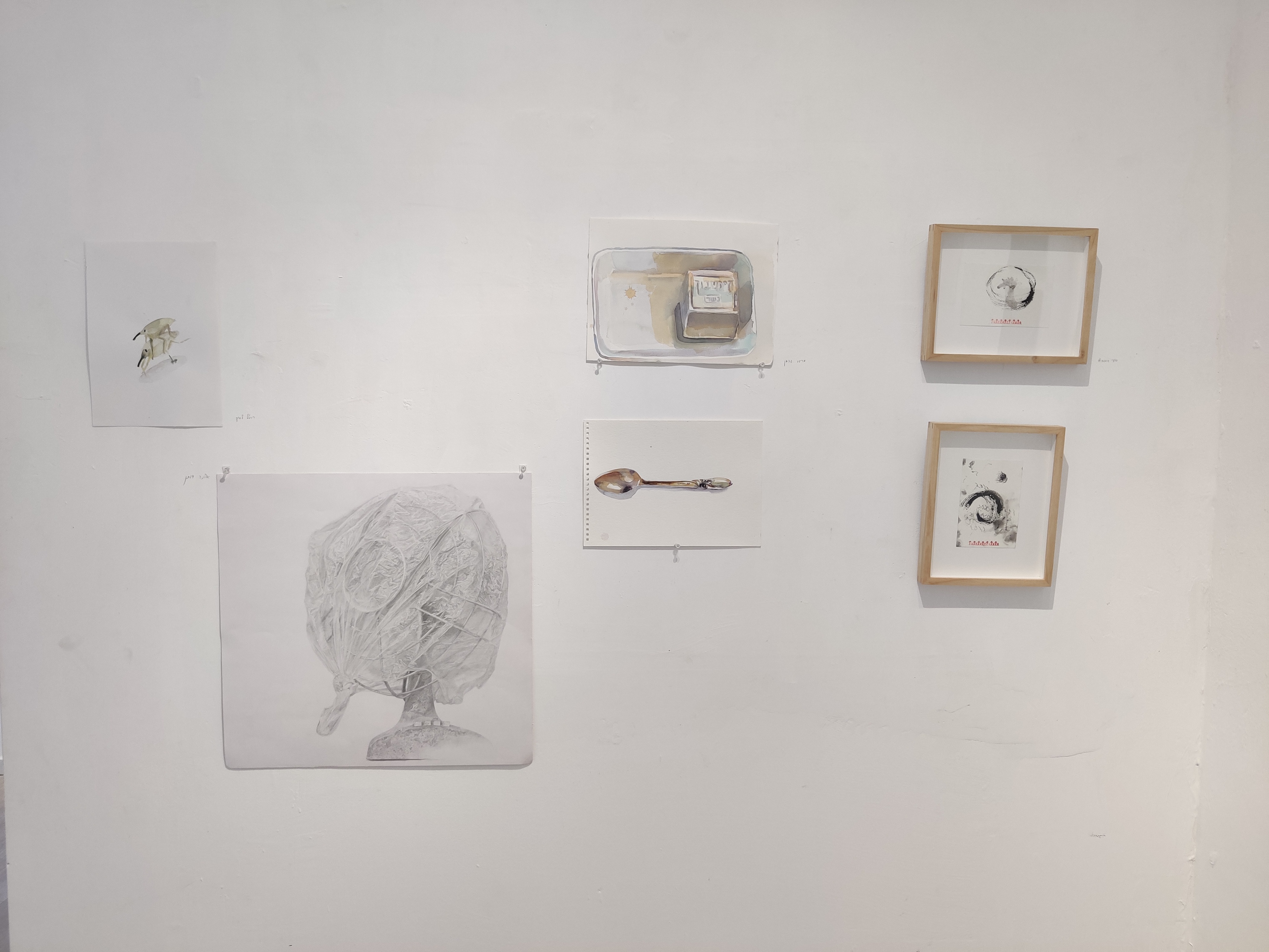 ימין,סוזי שומוביץ, אמצע, מרגו גראן, שמאל למעלה,רויטל לסיק, למטה, אילנה דותן