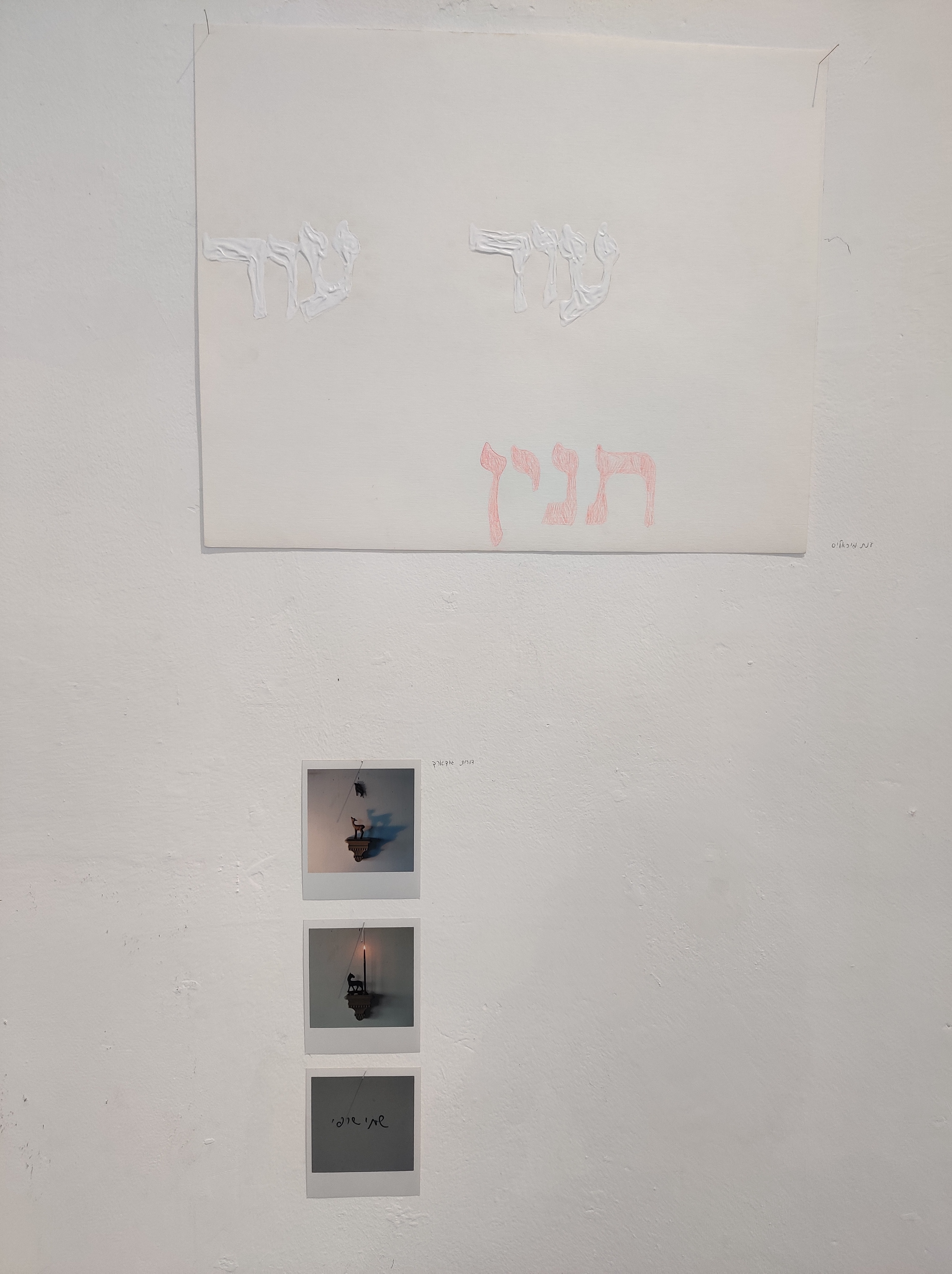למעלה, ענת מיכאליס, למטה, דורית גודארד
