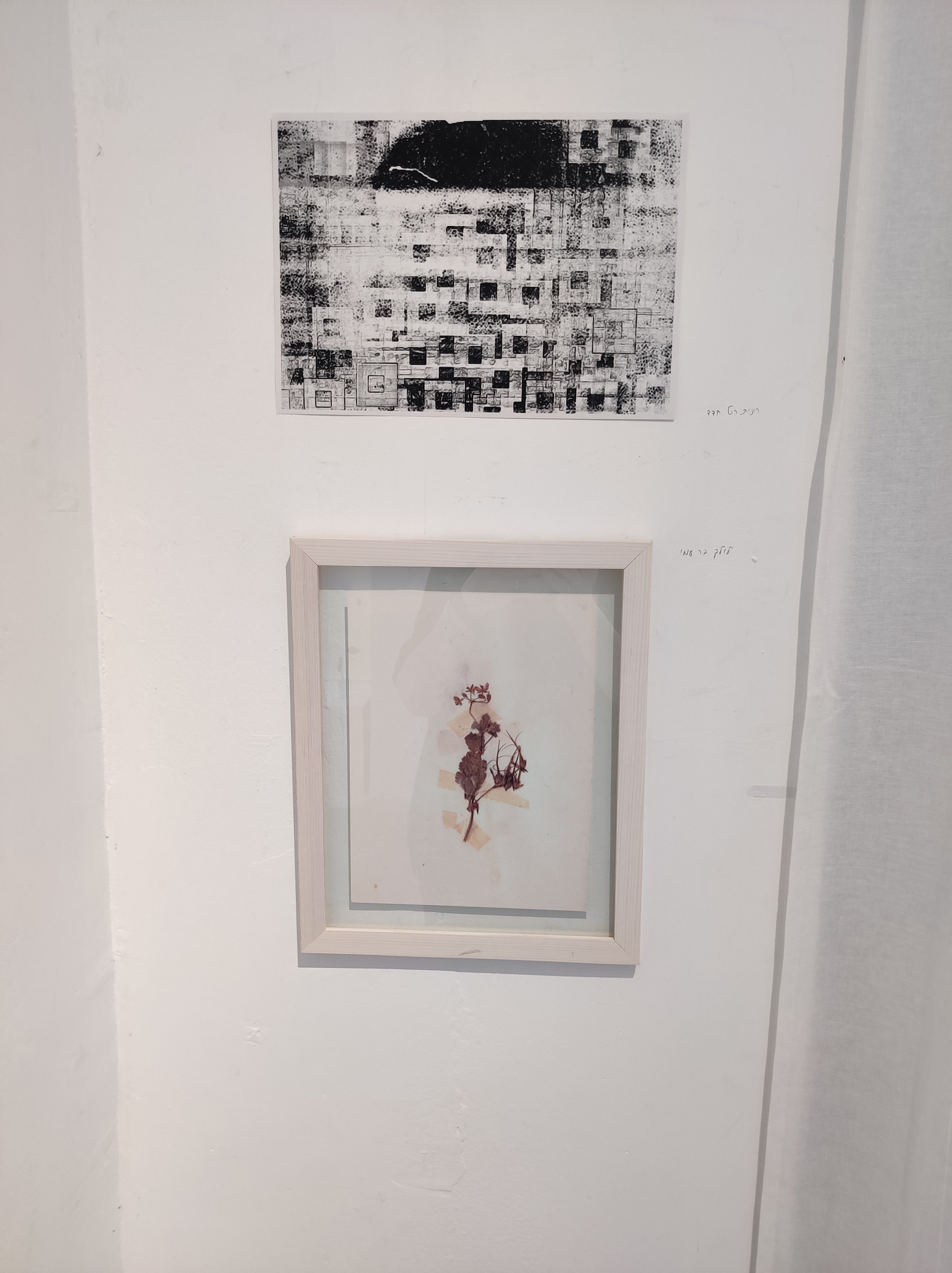 למעלה, רונית רוט חדד, למטה, לילך בר עמי