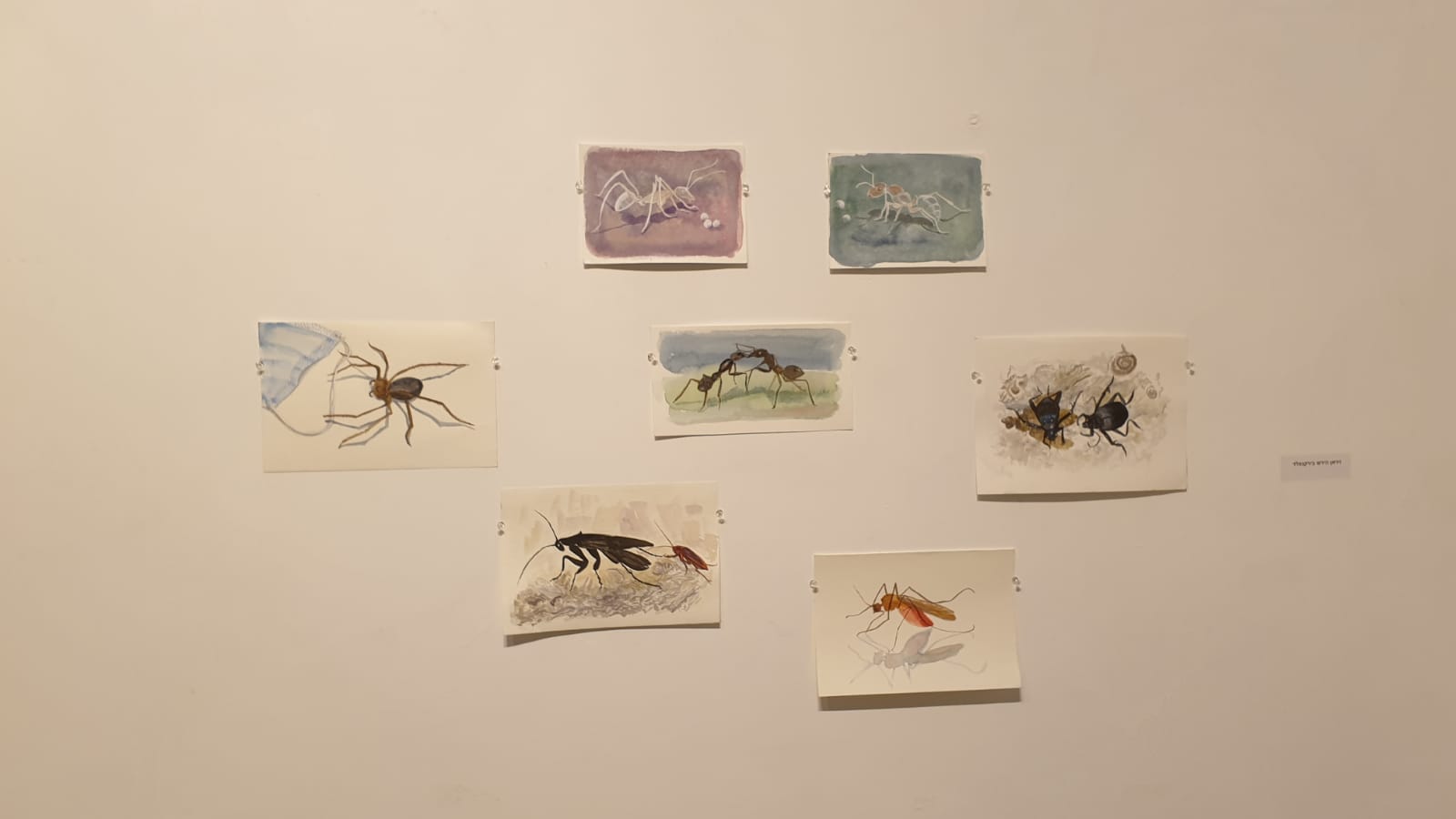 286ab5b6-87e3-4aef-ad06-c1b9623cd90a