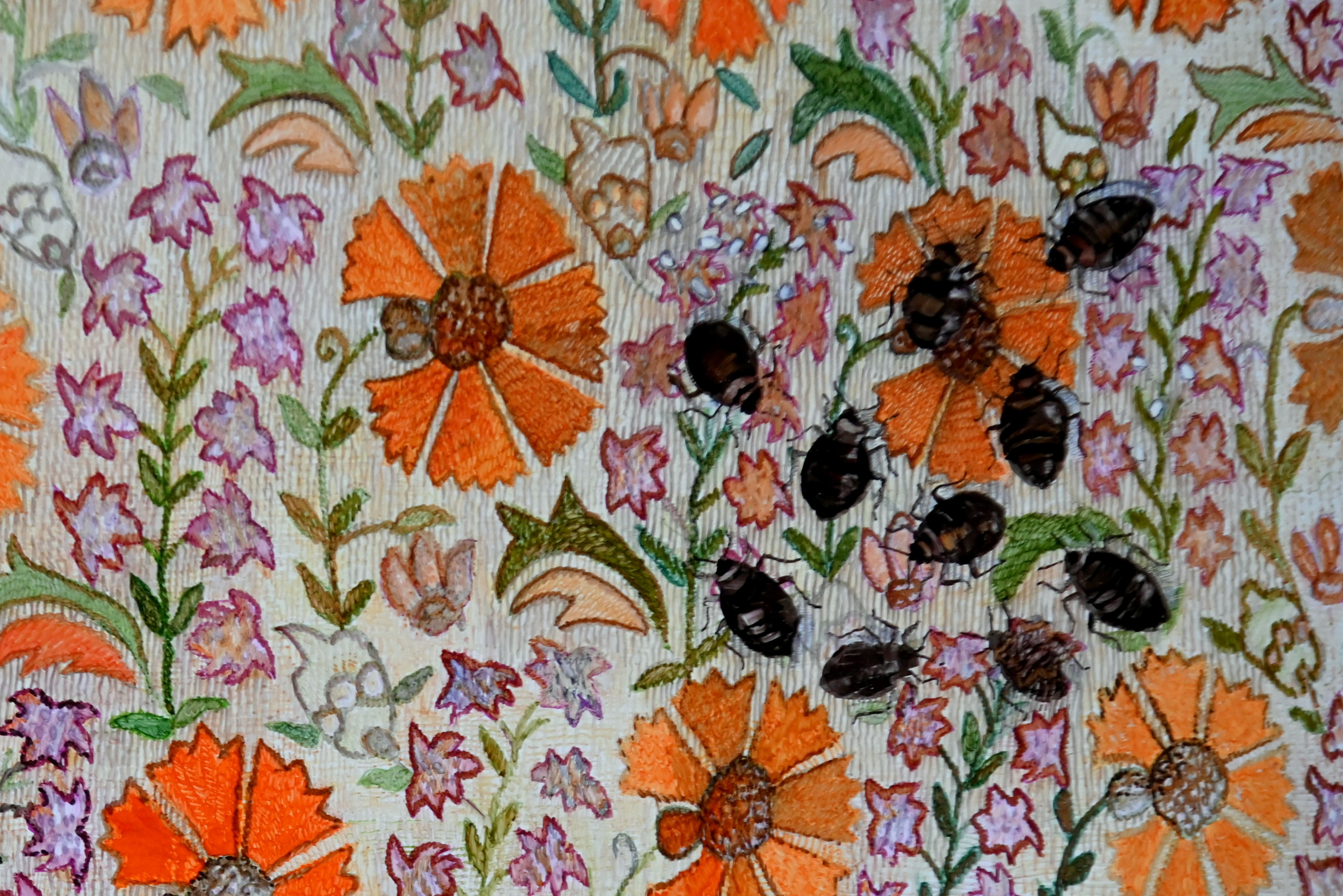 סימה מאיר גלריה שכטר